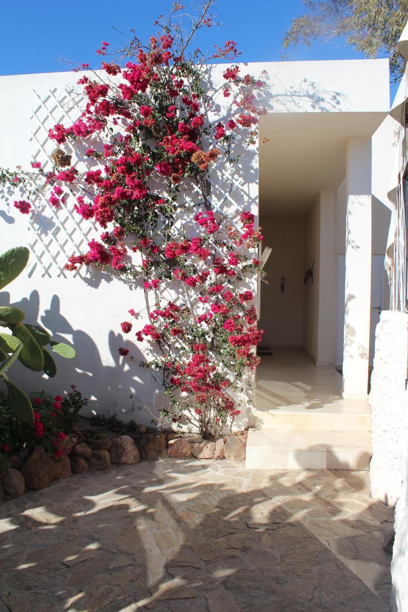 El Jardín de los Sueños Rodalquilar Exterior foto