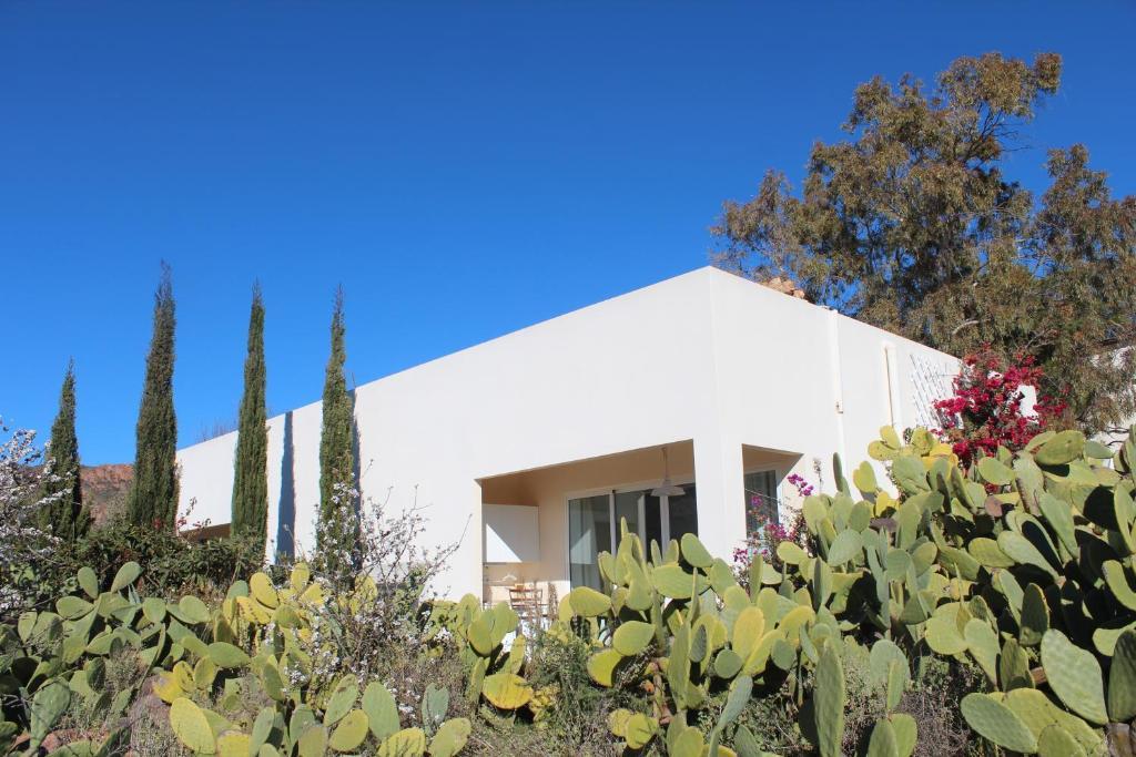 El Jardín de los Sueños Rodalquilar Quarto foto